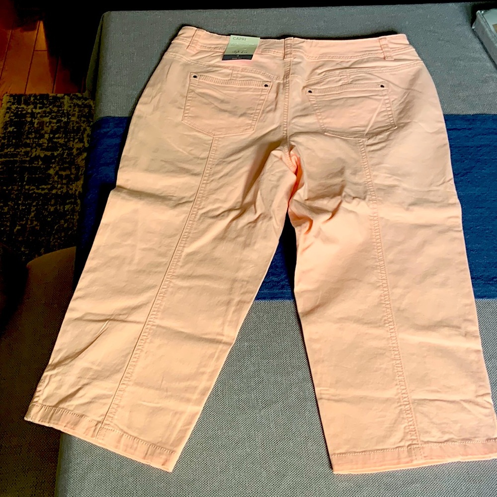 Style & Co mid rise size 4 capri pants color is called “wild iris”